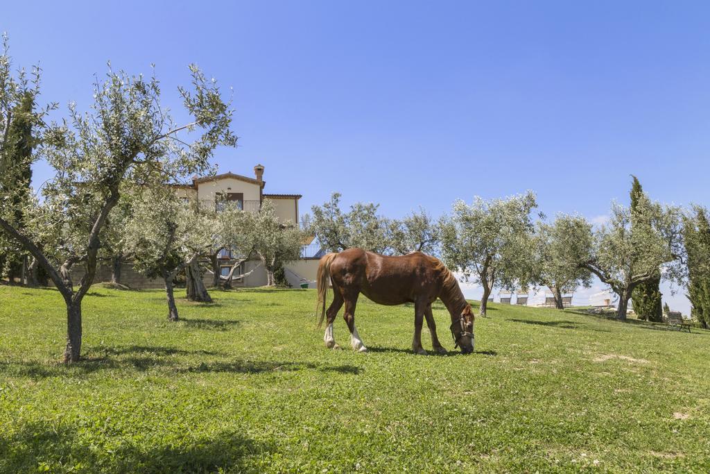 Agriturismo Le Bosche San Marino Exterior photo