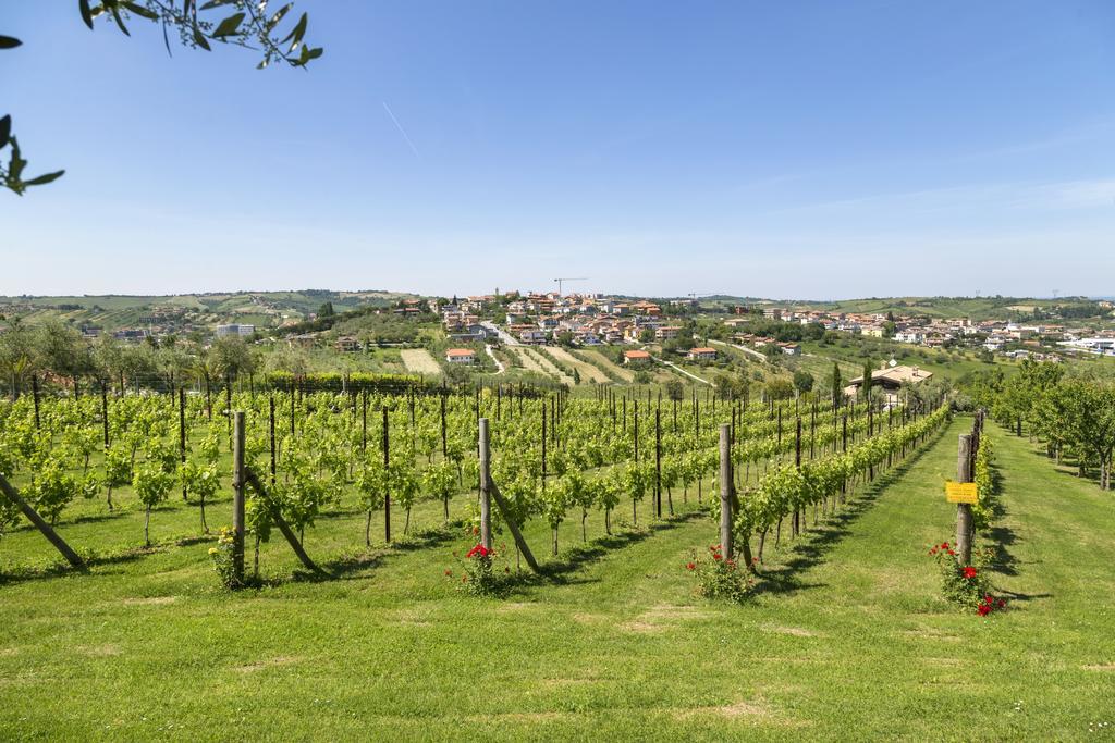 Agriturismo Le Bosche San Marino Exterior photo
