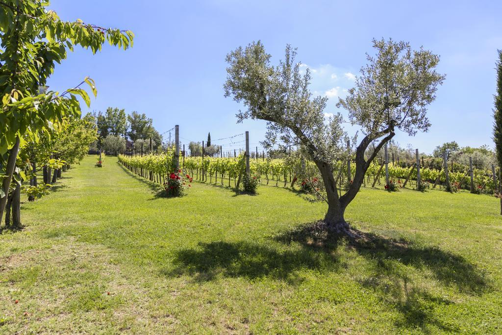 Agriturismo Le Bosche San Marino Exterior photo